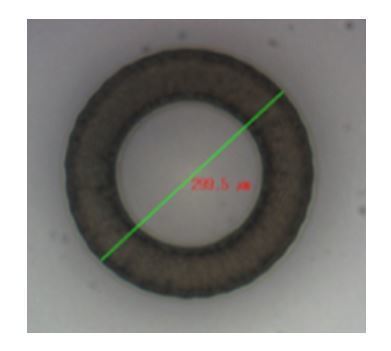 [ MJL ]<bR>Glass Wafer Align Marking